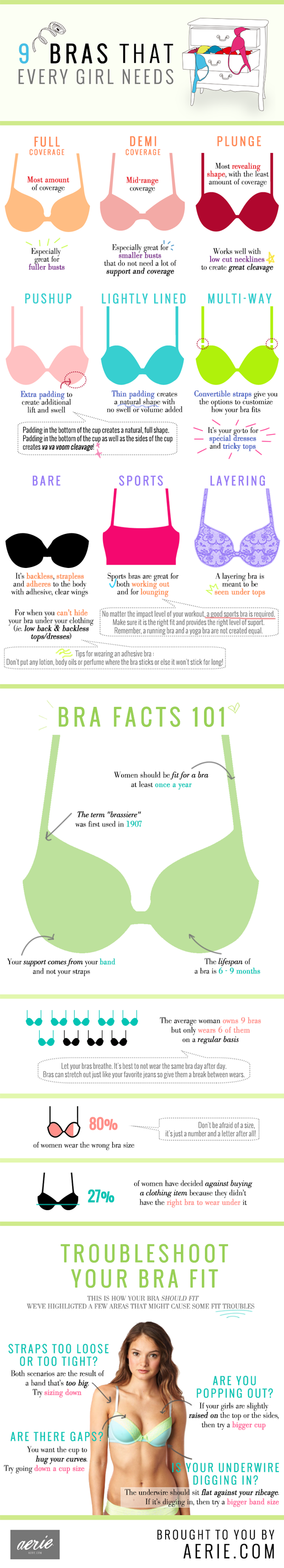 Aerie Infographic